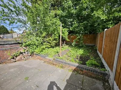 Picture 13